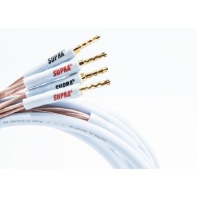 Supra XL Annorum 2x3m.