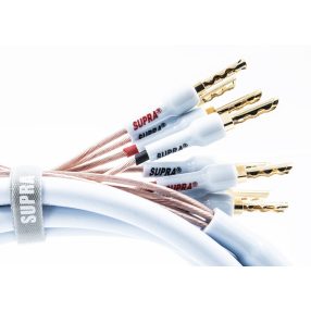 Supra XL Annorum Bi-amp 2x4m.