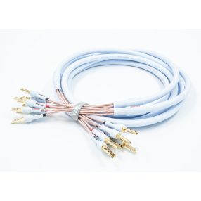 Supra XL Annorum Bi-amp